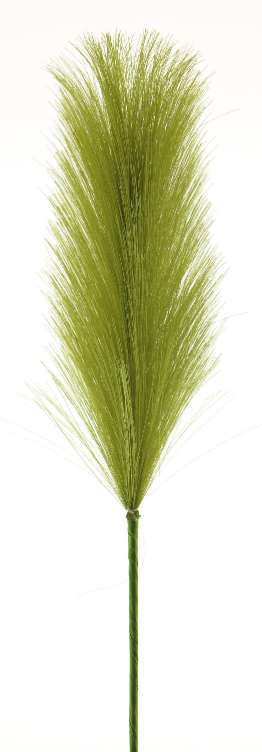 Pampasgras grün, Dekozweig WENXUE, Rispe 40cm