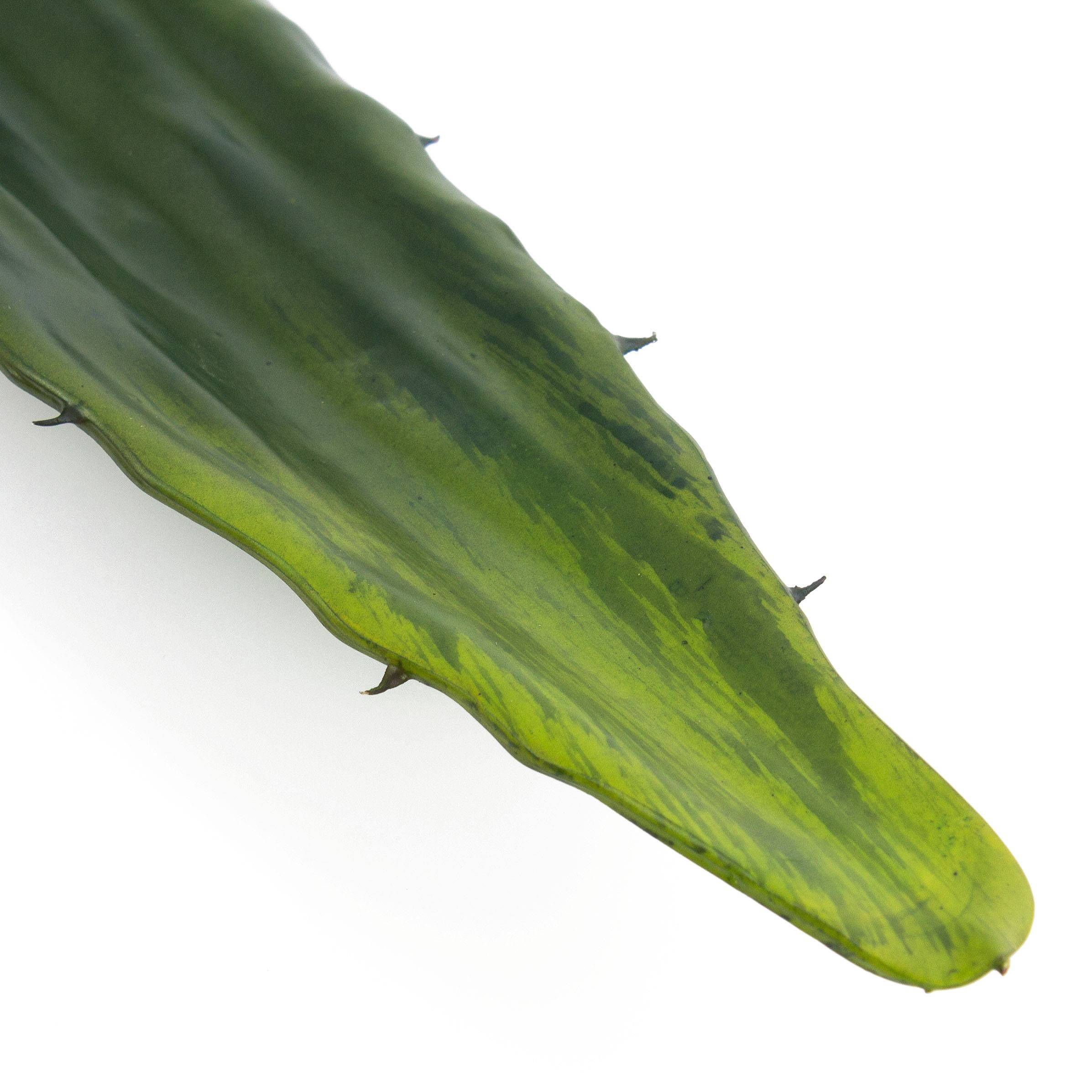 Plastik Vera 60cm grün, Aloe Blatt KATALINA