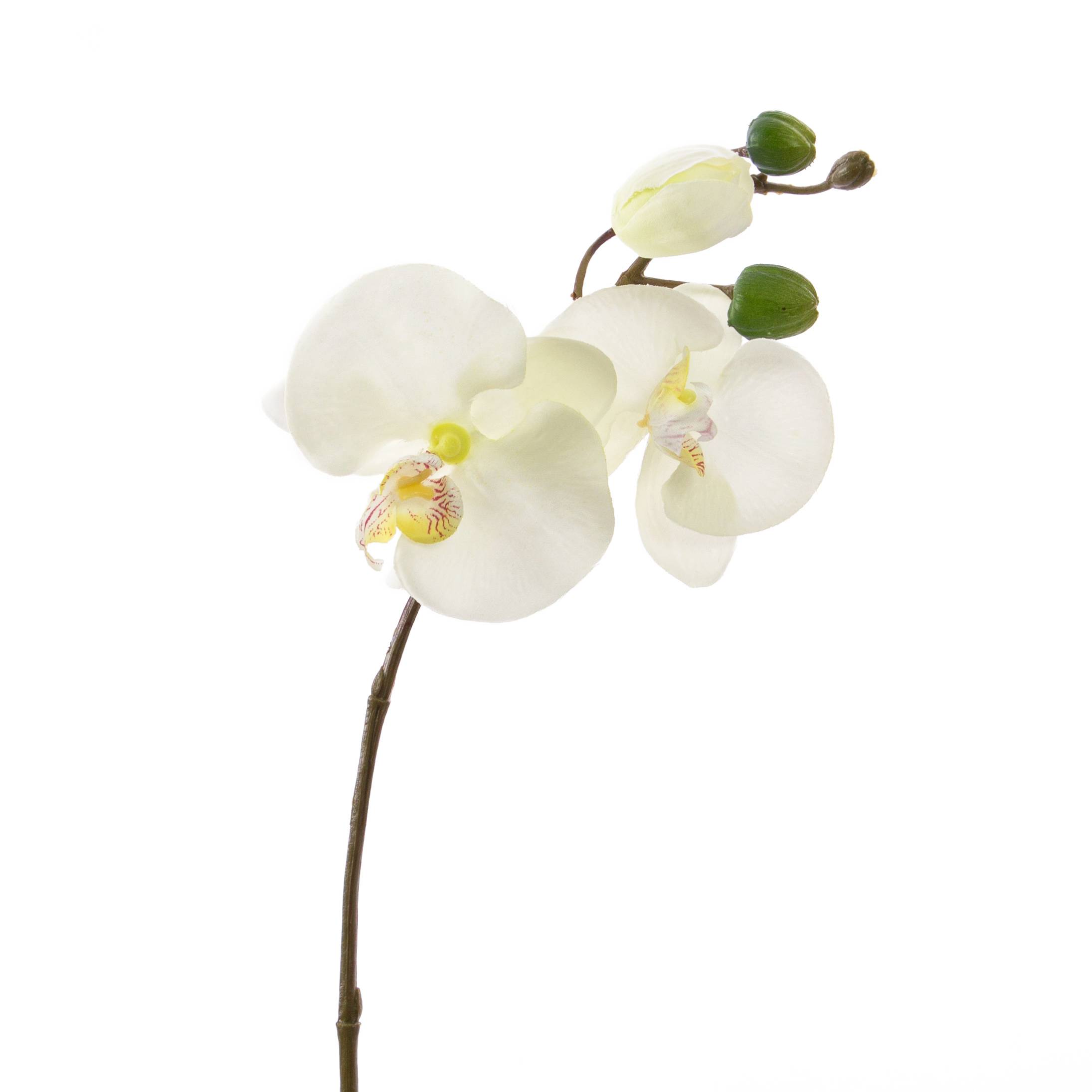 Kunstzweig Phalaenopsis Orchidee 30cm weiß VANESSA
