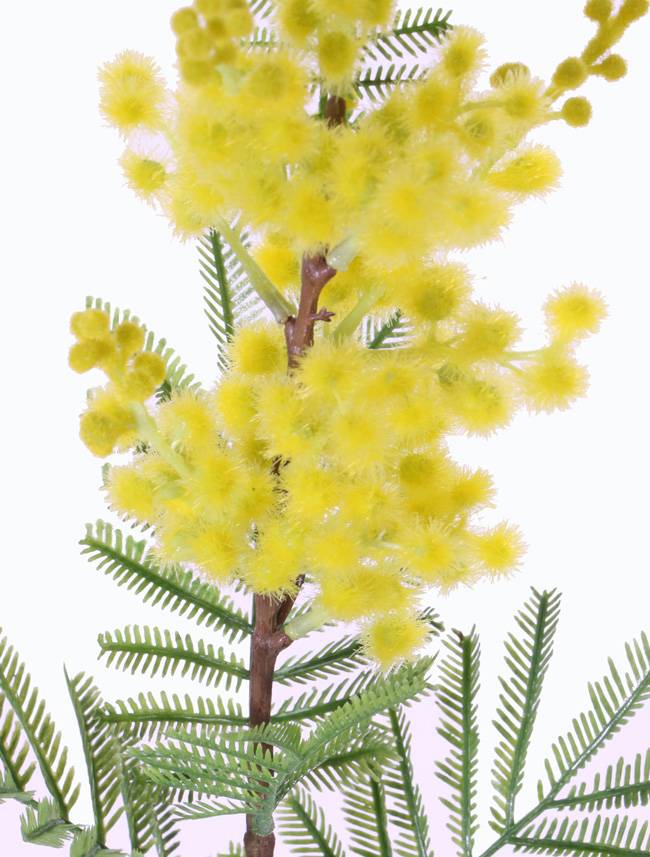 Künstlicher MENSON, 60cm Mimosen Zweig gelb,