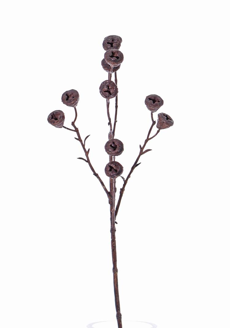 Kunst Eukalyptus braun Zweig BASILIUS 60cm Früchte