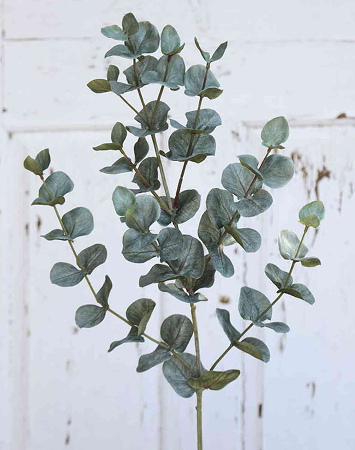 Künstlicher Eukalyptus Zweig INGOLF, 75cm grün-grau
