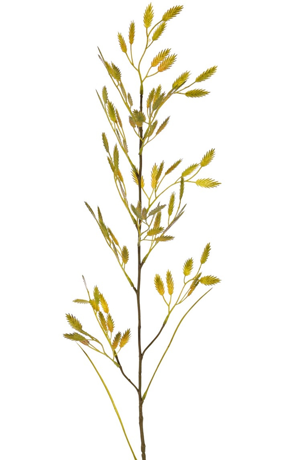 Kunstgras Plattährengras Zweig gelb-grün, 100cm Ähren, mit FUXIA
