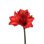 Künstliche Amaryllis BENITA, rot, 55cm, Ø10cm