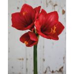 Künstliche Amaryllis YOLANTE, rot, 70cm, Ø6-13cm