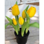 Kunsttulpe CAITLYN im Dekotopf, gelb-grün, 25cm, Ø2-6cm