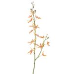 Kunstzweig Cattleya Orchidee TRASSA, orange-gelb, 80cm