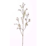 Künstliche Wachsblume NIANG, creme, 80cm, Ø2-3cm