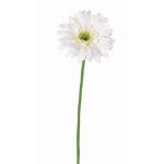 Textil Gerbera HELLI, creme, 65cm, Ø12cm