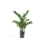 Kunstpflanze Zamioculcas SIMANO, 70cm