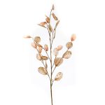 Künstlicher Lunaria Zweig BUELNA, hellbraun, 105cm