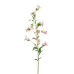 Deko Glockenblume AIMI, rosa-creme, 90cm, Ø4,5cm