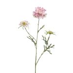 Deko Scabiosa MARUA, rosa, 80cm