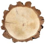 Birke Holzscheibe MORGANIE, natur, Ø28-32cm