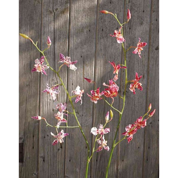 Kunstzweig Orchidee EDONITA, rosa-gelb, 80cm Oncidium