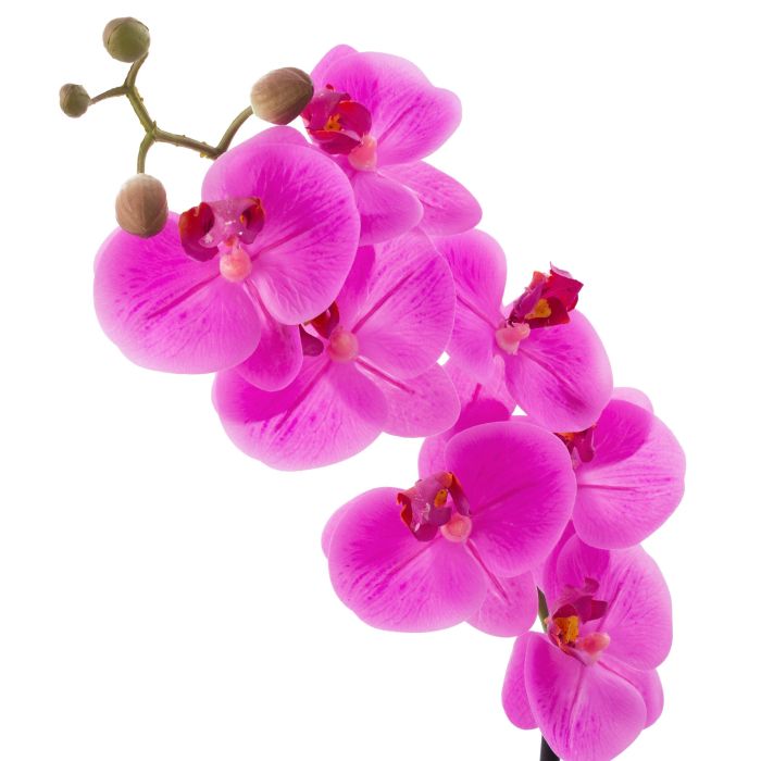 Kunstorchidee Phalaenopsis pink, EMILIA, 50cm