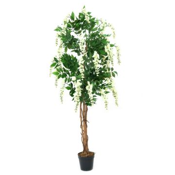 Künstlichen im kaufen artplants Online-Shop Goldregenbaum