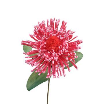Kunststoffschaum Nadelkissen Protea ISLARTINA, rot-pink, 75cm