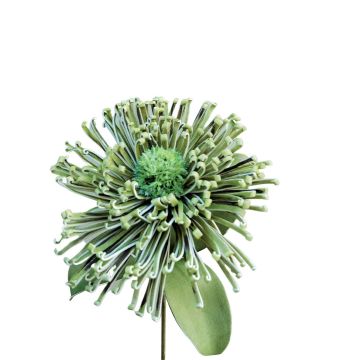 Kunststoffschaum Nadelkissen Protea ISLARTINA, grün-blau, 75cm