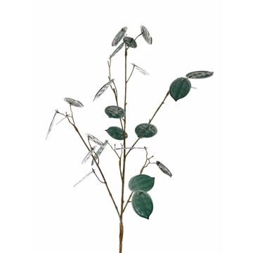 Deko Zweig Lunaria LOUDIAS, petrolgrün, 90cm