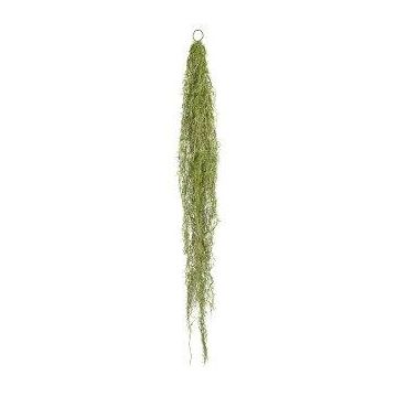 Kunst Sukkulente Tillandsia usneoides PENZA, hängend, grün, 140cm