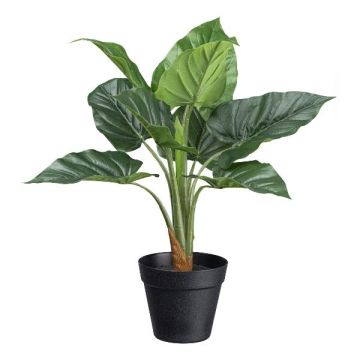 Kunstpflanze Anthurium PLOVI, Dekotopf, grün, 45cm