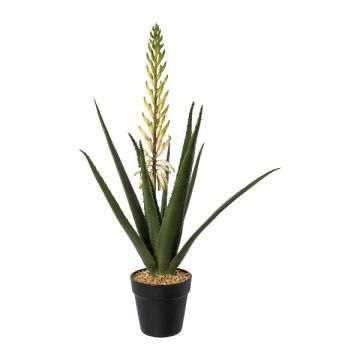 Deko Sukkulente Aloe Vera GRUVS im Dekotopf, Blüte, grün-weiß, 65cm