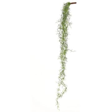 Kunsthänger Tillandsia Usneoides LIVADI auf Steckstab, grün, 115cm