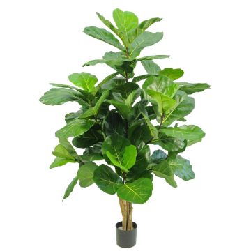 Kunststoff Ficus Lyrata APOKO, Echtstämme, grün, 170cm