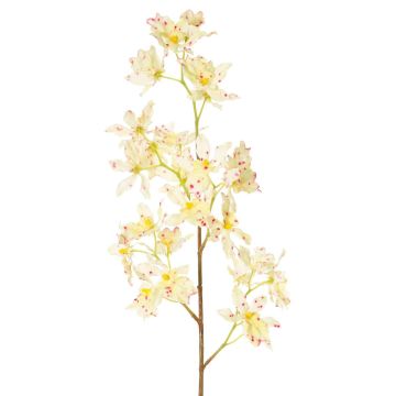 Kunstzweig Odontoglossum Orchidee BELANIA, creme-pink, 75cm