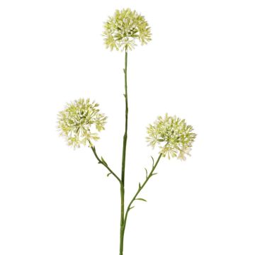 Dekozweig Allium ALIKIO, weiß, 65cm, Ø6,5cm