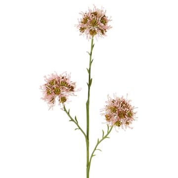 Kunstzweig Allium ZEBU, rosa, 65cm, Ø6cm