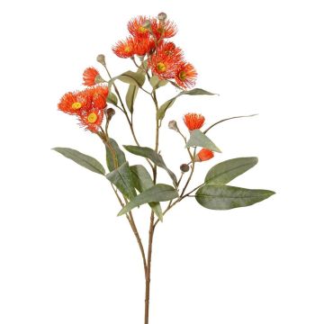 Deko Eukalyptus Zweig WANARA mit Blüten, orange, 100cm