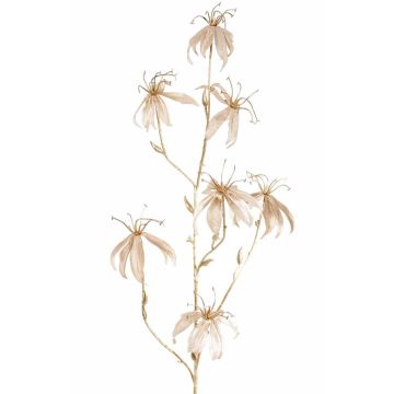 Samt Gloriosa Zweig NESTOS, creme-gold, 110cm