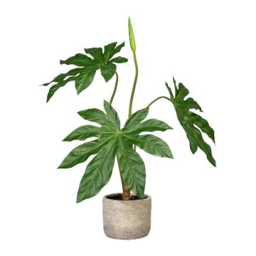 Kunstpflanze Aralia GRINO im Zementtopf, grün, 60cm