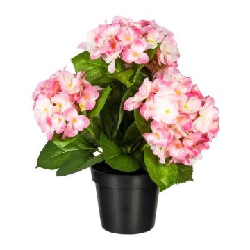 Dekoblume Hortensie SLORFIN im schwarzen Dekotopf, rosa, 30cm