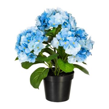 Dekoblume Hortensie SLORFIN im schwarzen Dekotopf, blau, 30cm