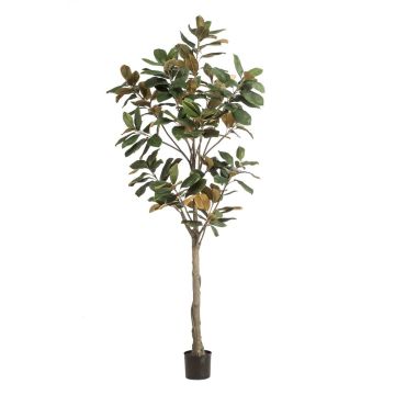 Kunst Yulan-Magnolie BELLITA, Kunststamm, grün-olive, 210cm