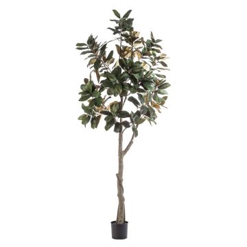 Kunst Yulan-Magnolie BELLITA, Kunststamm, grün-olive, 240cm