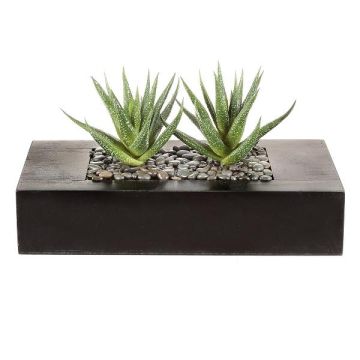 Künstliche Sukkulente Aloe variegata FRONZ im Holzkasten, grün-weiß, 24x11x14cm