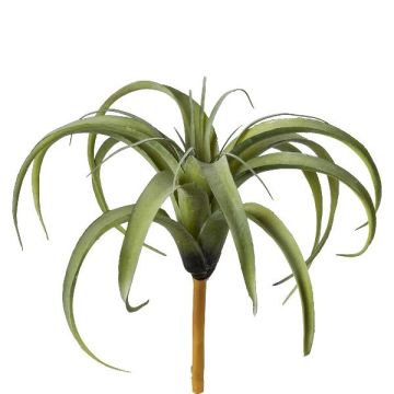 Künstliche Sukkulente Tillandsia stricta TEMRA, Steckstab, grün, 26cm, Ø30cm