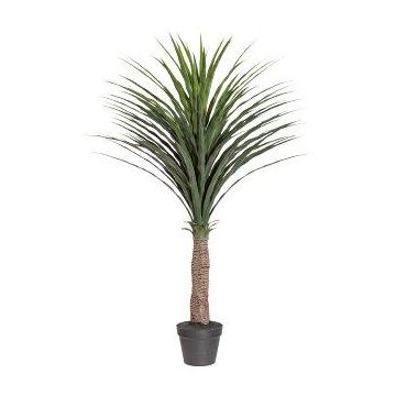 Kunstpalme Yucca rostrata QUIME im Dekotopf, 115cm