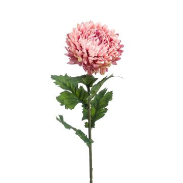 Kunstblume Chrysantheme LAZO, altrosa, 75cm