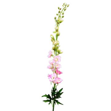 Unechte Blume Rittersporn RADUNIA, rosa, 100cm