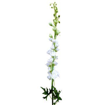 Unechte Blume Rittersporn RADUNIA, creme-weiß, 100cm