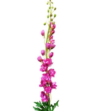 Unechte Blume Rittersporn RADUNIA, pink, 100cm