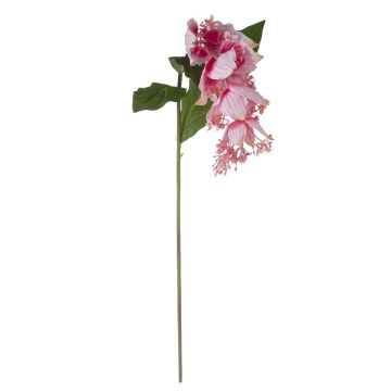 Kunstblumenzweig Medinilla LASENTER, rosa, 110cm