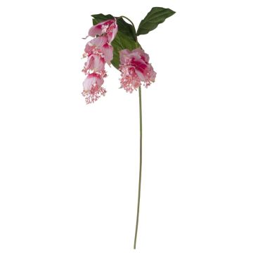 Kunstblumenzweig Medinilla LASENTER, rosa, 140cm