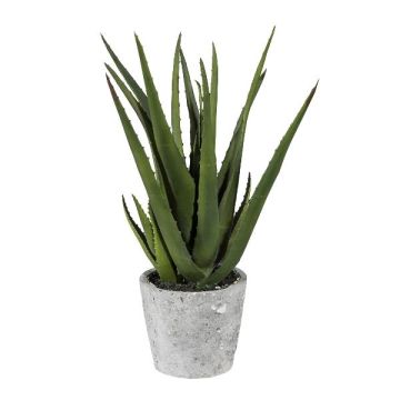 Deko Sukkulente Aloe Vera BRIZE im Zementtopf, grün, 40cm