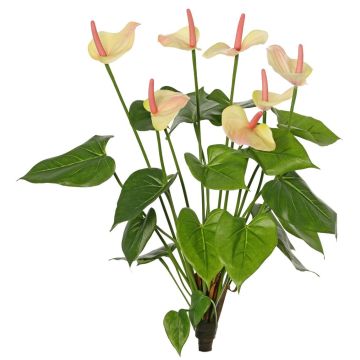 Dekoblume Anthurium NAKITA auf Steckstab, rosa-creme, 50cm